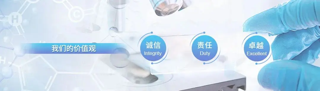 SEC遭遇大幅下滑超Gate%，投资者恐慌性抛售-九游登录入口