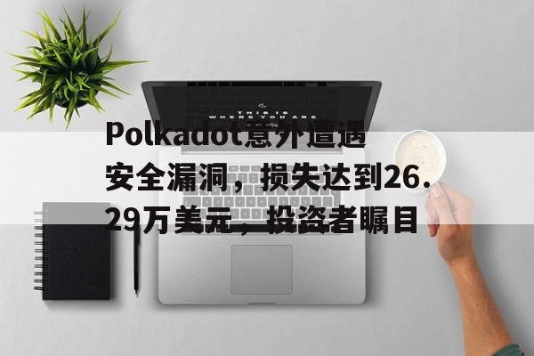 包含Polkadot意外遭遇安全漏洞，损失达到26.29万美元，投资者瞩目的词条-九游娱乐APP