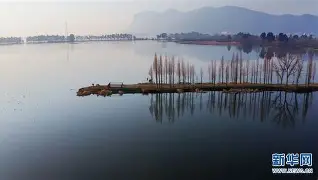 滇池雄鲨队击败燕赵山猫队，网球小组赛上演裁判判罚引热议！临场应变见真章的简单介绍-九游娱乐APP
