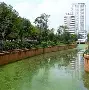 滇池雄鲨队击败燕赵山猫队，网球小组赛上演裁判判罚引热议！临场应变见真章的简单介绍