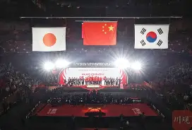 冰球夜战：皖南天虎队大胜陇右霹雳队，临门一脚致胜精神属性拉满-九游体育
